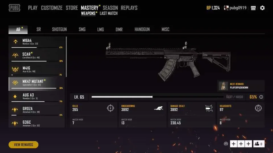 PUBG - Weapon Mastery Deep Information and Q&A