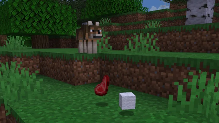 A wolf looking at some meat and a wool block.