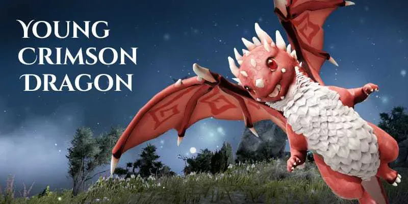 BDO - NEW BOSS GARMOTH | Young Crimson Dragon
