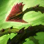 25.16 Patch Notes image 061