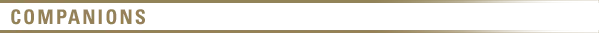 wqwqicabnexp.png